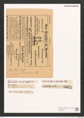 Surirella smithii Ralfs (de-Toni-Nr.: Genus 53, Species 2227) Zeichnungen Sammlung Grunow (NHMW-BOT-W0372701)